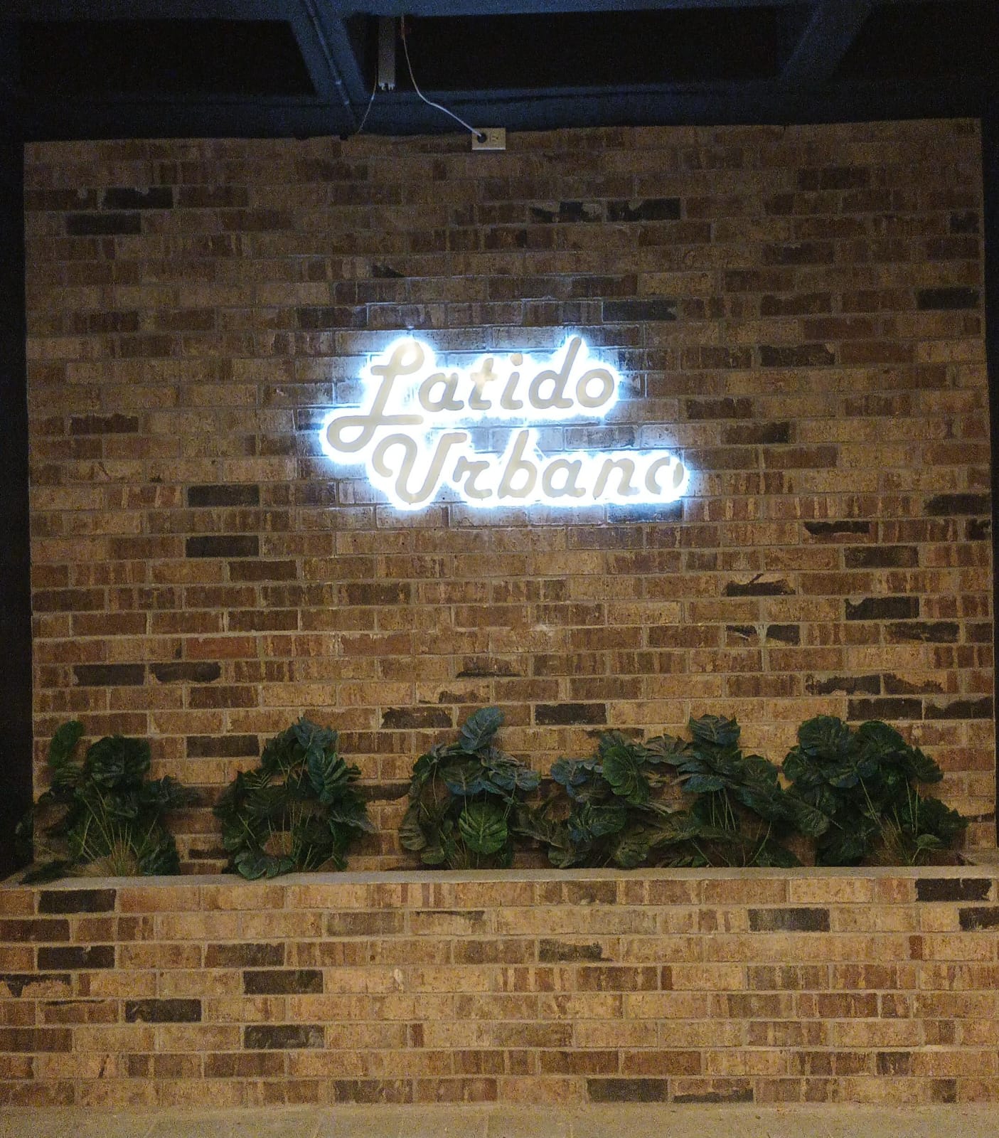 Luz indirecta — letrero Latido Urbano con efecto halo