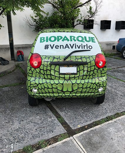 rotulación vehicular